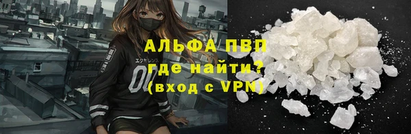 PSILOCYBIN Заволжье