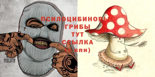 PSILOCYBIN Заволжье
