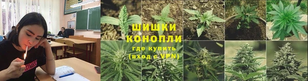 PSILOCYBIN Заволжье