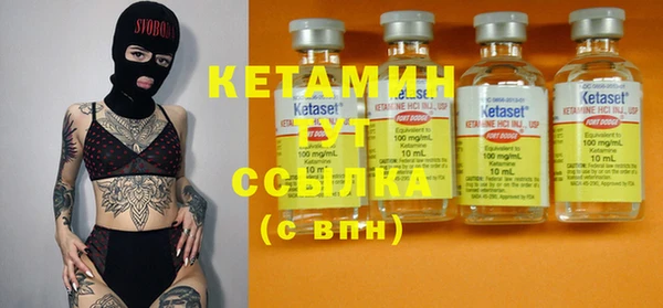 шишки Вязники