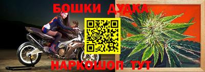 PSILOCYBIN Гагарин