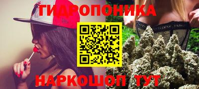 PSILOCYBIN Гагарин