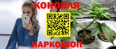 каннабис Гай