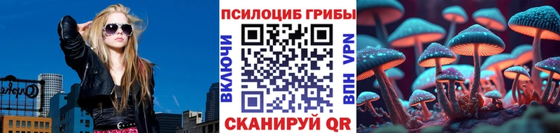ОМГ ОМГ как войти  Уфа  Псилоцибиновые грибы Psilocybe 