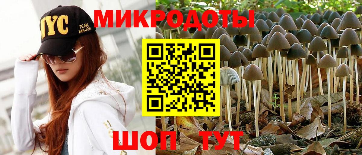 Россия  Псилоцибиновые грибы прущие грибы  Вход с VPN 