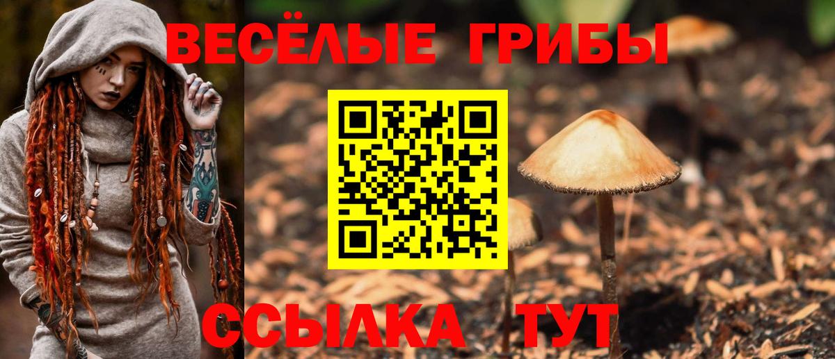 Галлюциногенные грибы GOLDEN TEACHER Россия
